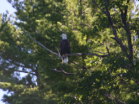 img_4974.jpg